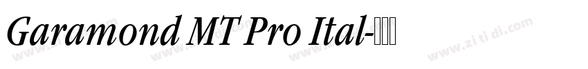 Garamond MT Pro Ital字体转换